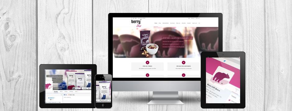 Agentur case study content marketing berryline