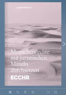 rosa-cover-digitals-magazin-ecchr-mit-eingefaerbtem-wuestenbild-responsiv