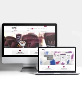 berryline webdesign agentur