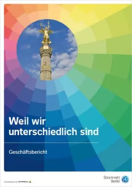 agentur fuer transparenzberichte leipzig deutschlandweit stromnetz berlin cover